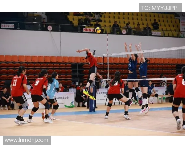 重庆排球队在精英赛中的耐力表现分析与总结