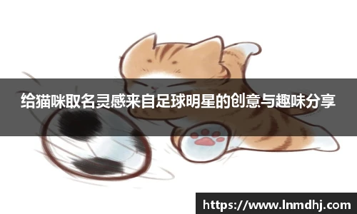 给猫咪取名灵感来自足球明星的创意与趣味分享